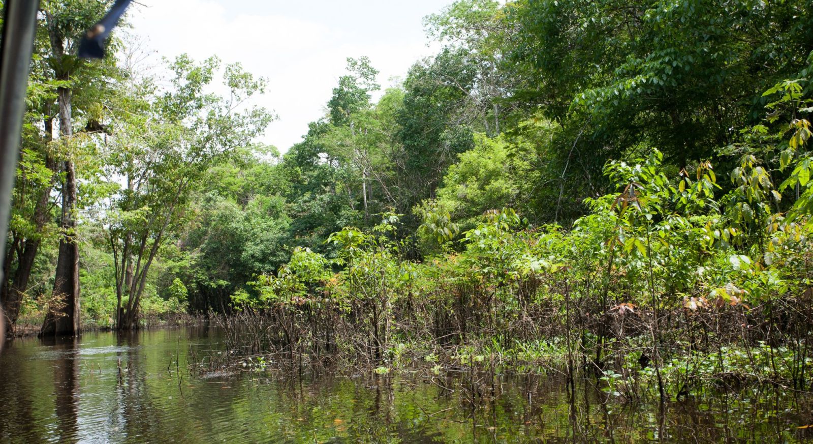 Amazon soft adventure holiday.