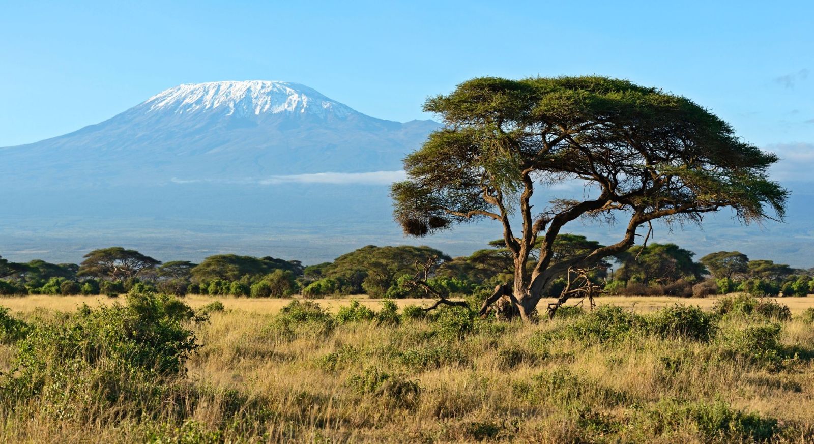 Amboseli National Park, Safari Mt Kilmanjaro Views