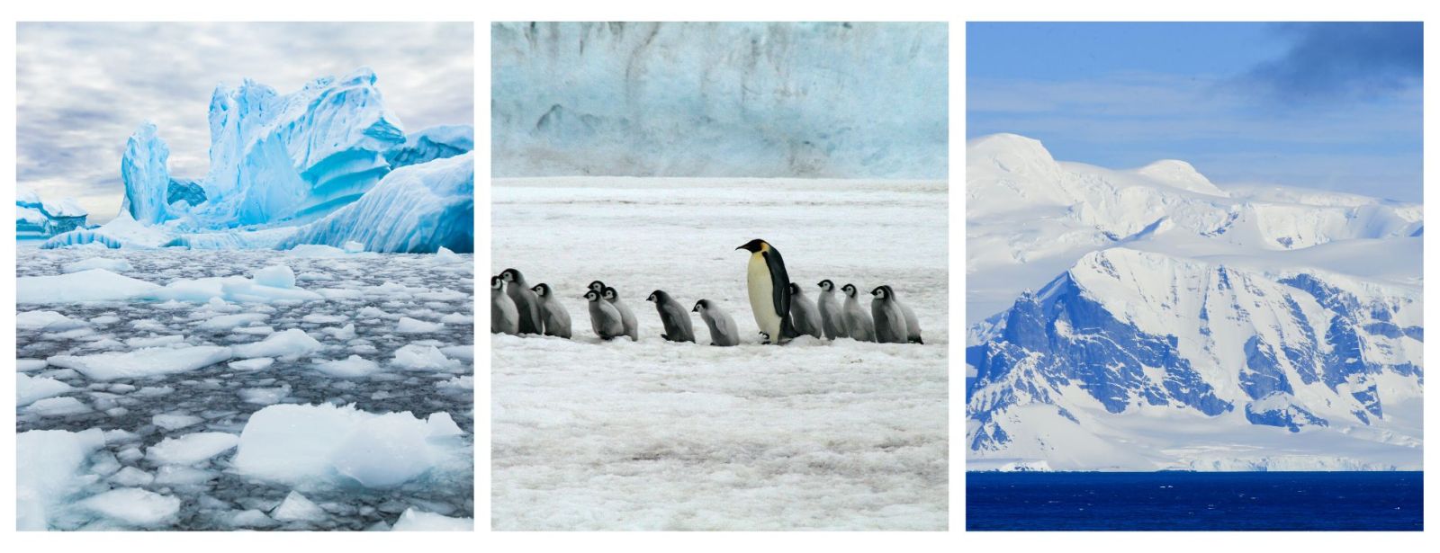 Antarctica Expedition Cruise Holidays