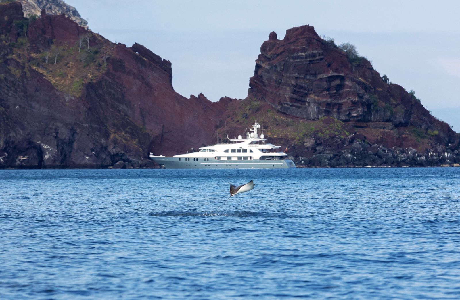 Luxury Aqua Mare expedition cruise experience in the Galapagos Islands