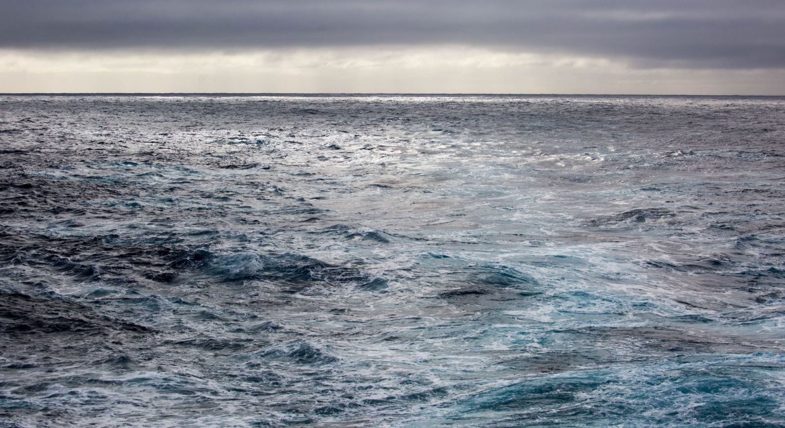 Drake Passage on an Antarctica expedition cruise