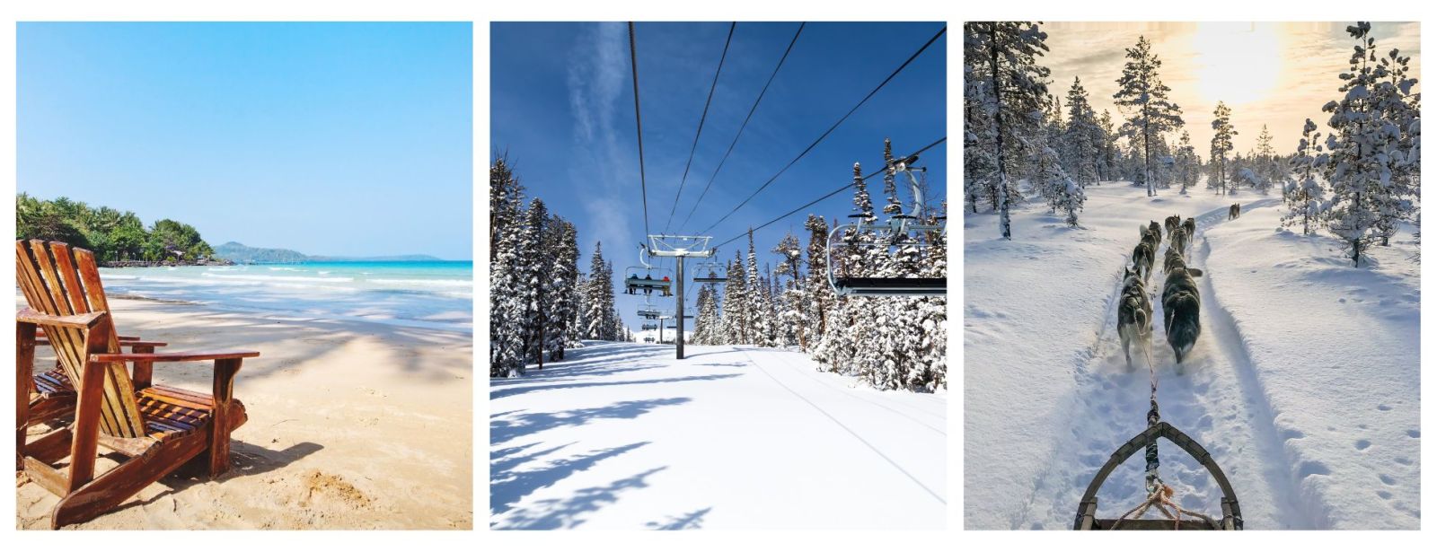 Family Holidays, Ski Holidays, Lapland Holidays