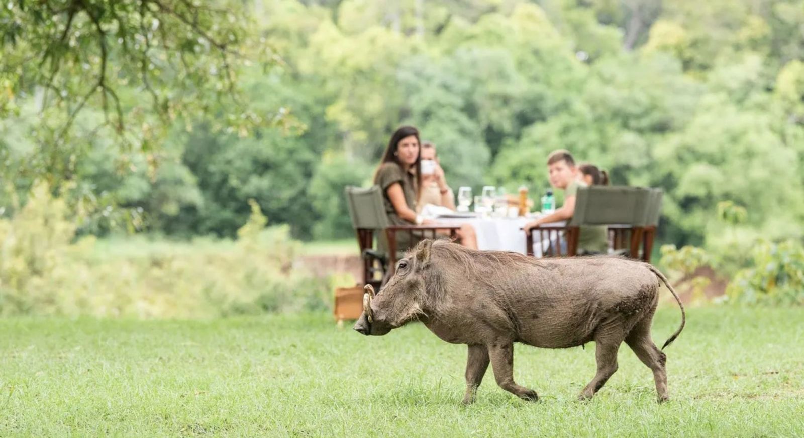Family Safari Experience