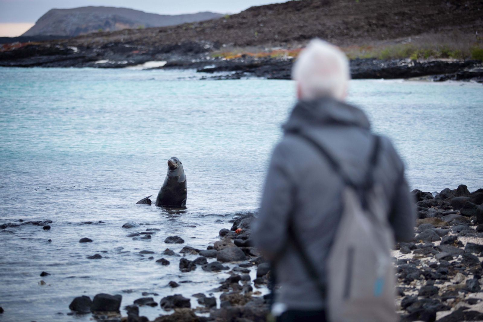 Guests enjoying an expedition excursion in the Galapagos Islands