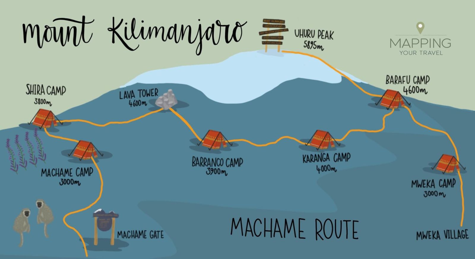 Machame route, Mt Kilimanjaro