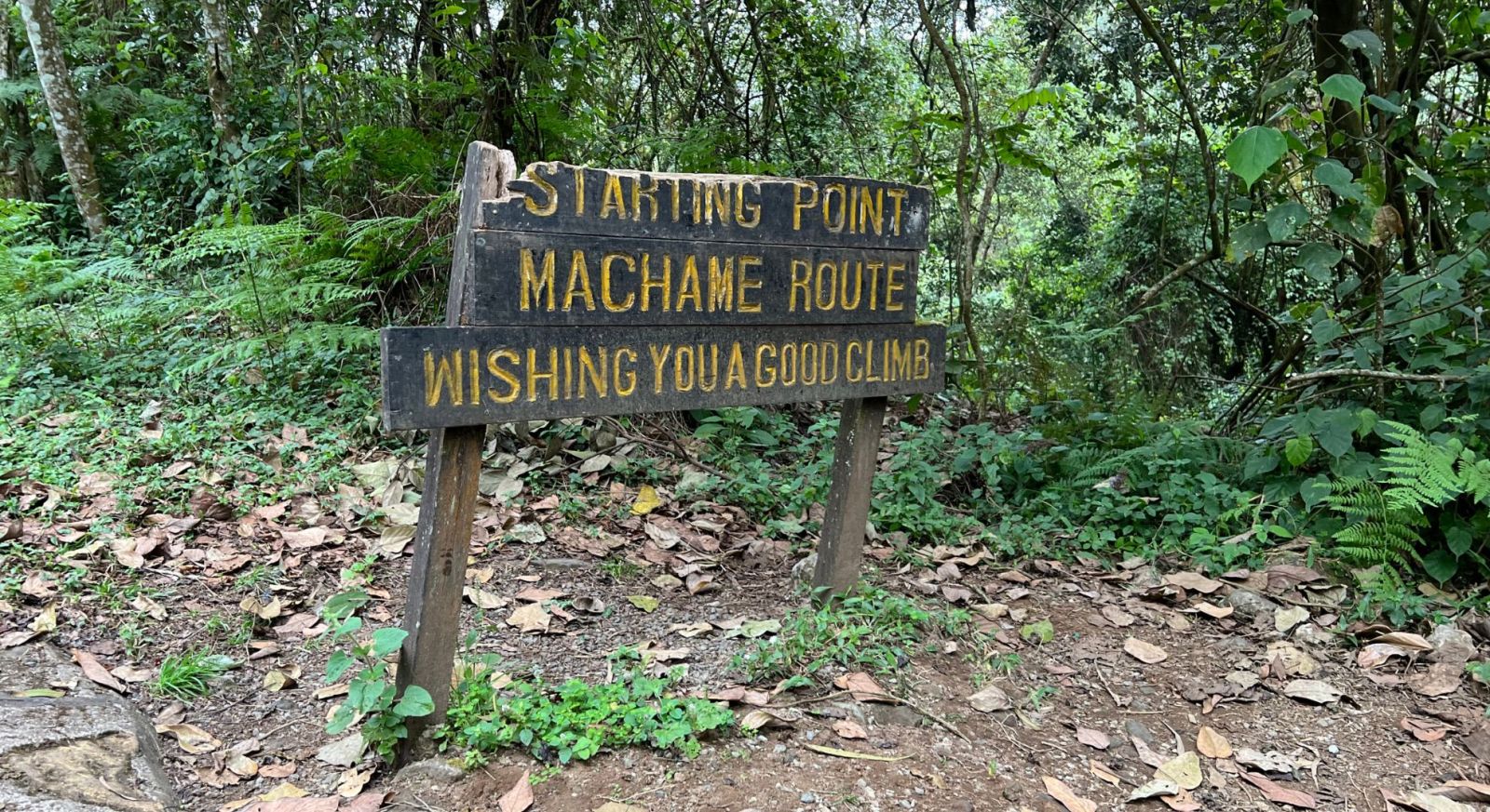 Machame Route,Kilimanjaro,Machame start