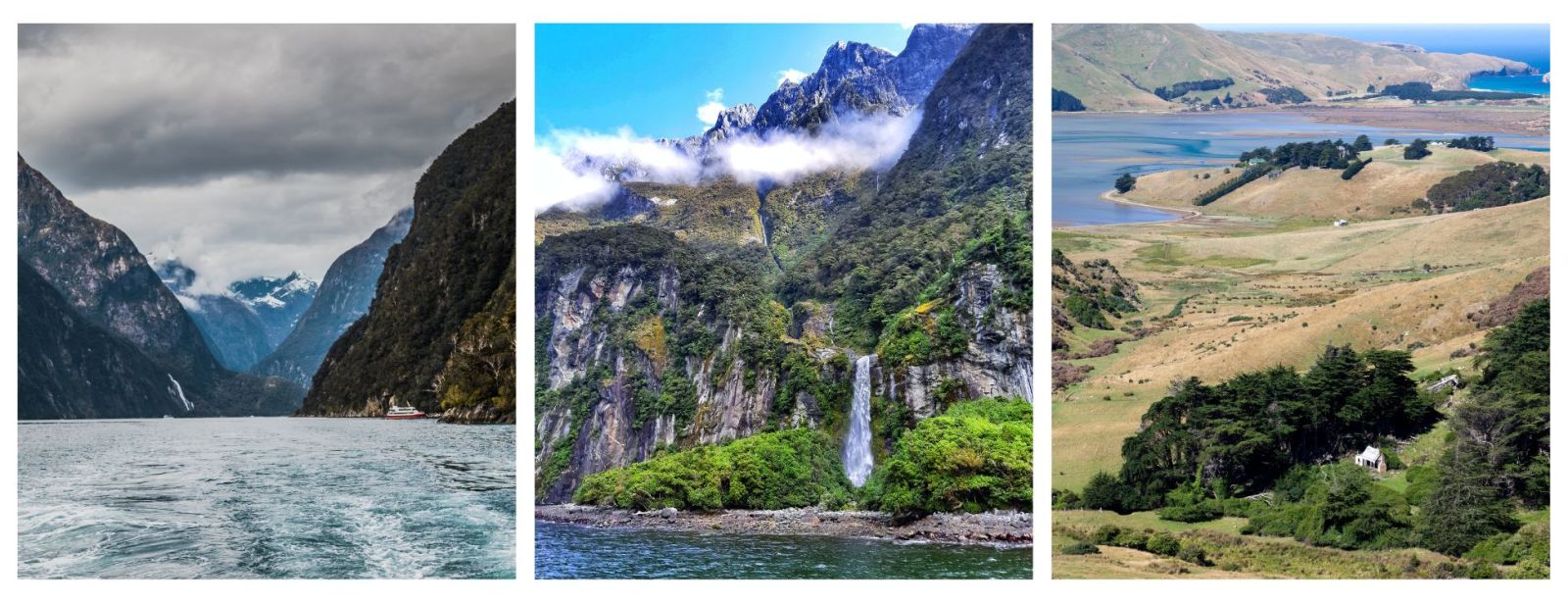 Holidays To South Island. Milford Sound. Fiordland. Otago Peninsula