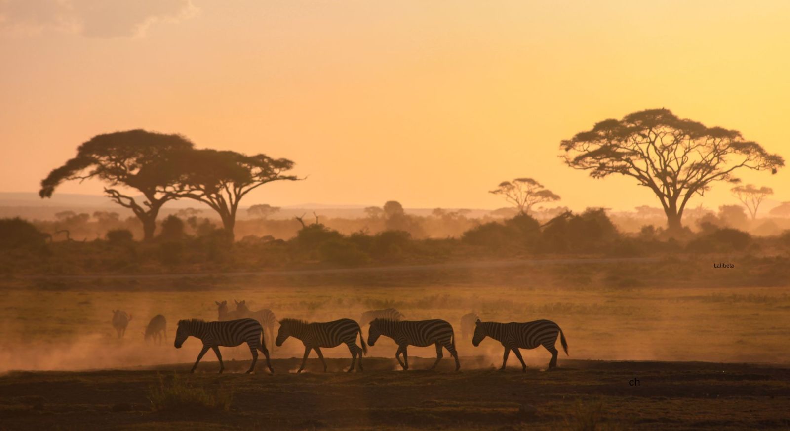 Overland Safari, Wildlife Africa, Africa Experiences, Discover Africa